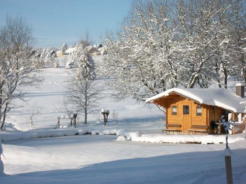Gartenhaus im Winter