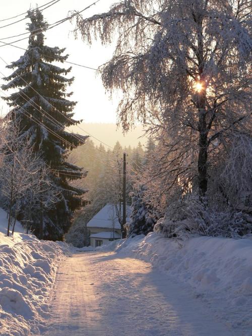 Froschgrund im Januar