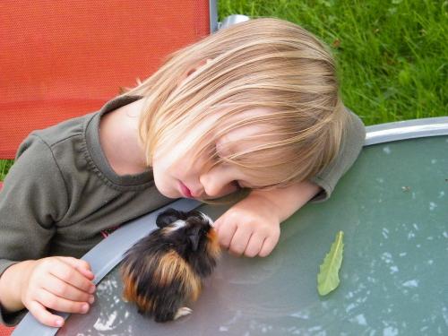 Elli mit Oskar aus unserem Streichelzoo