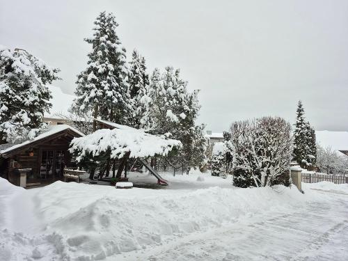 Winter 2026 Winter 2026