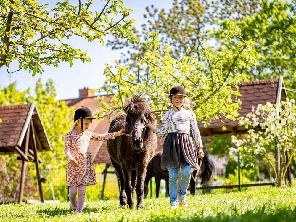 Mädchen mit Pony