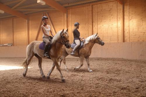 Reiten in der Reithalle