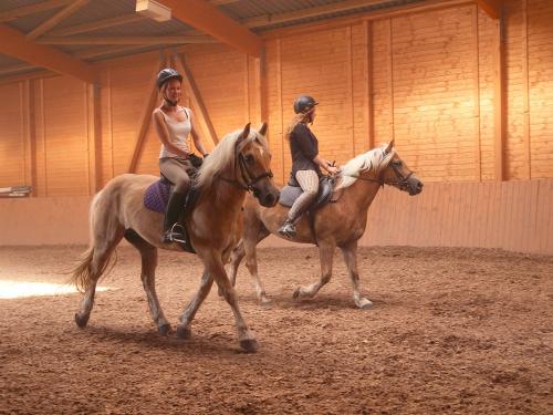 Reiten in der Reithalle