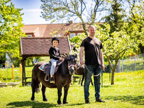 Ponyreiten für die Kleinen