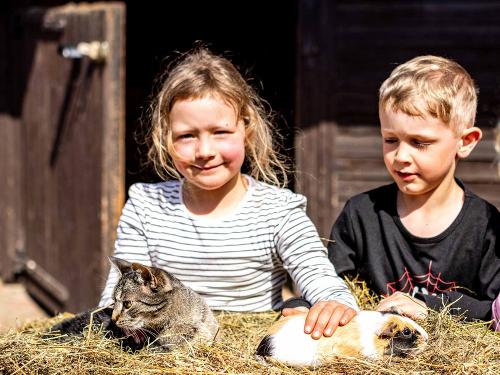 Kinder mit den Streicheltieren