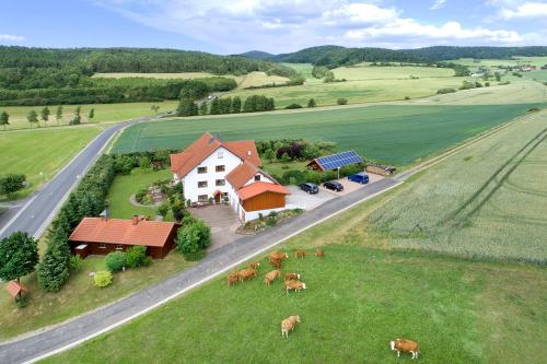Oberlützenbachshof aus der Vogelperspektive