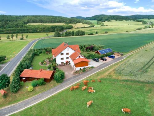 Oberlützenbachshof aus der Vogelperspektive