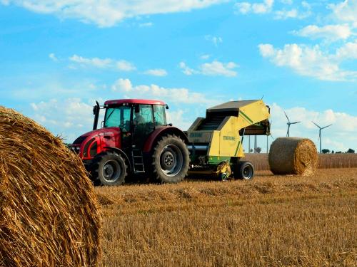 Thomas bei der Arbeit