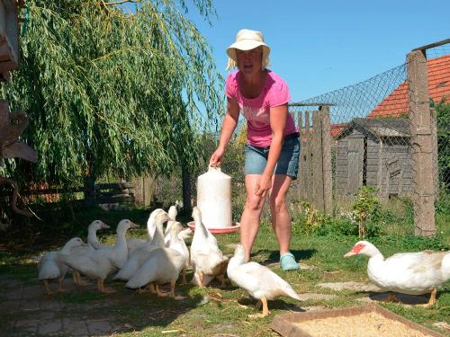 Frisches Wasser ist sehr beliebt