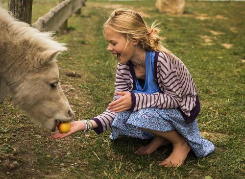 Tiere füttern und streicheln