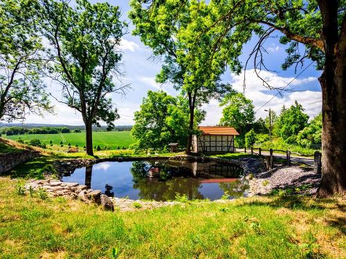 Teich auf dem Ferienhof Domäne Groschwitz
