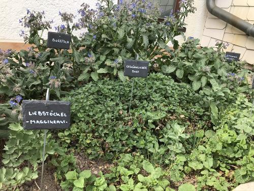 Kräutergarten