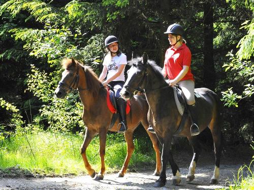 Ausritt im Wald