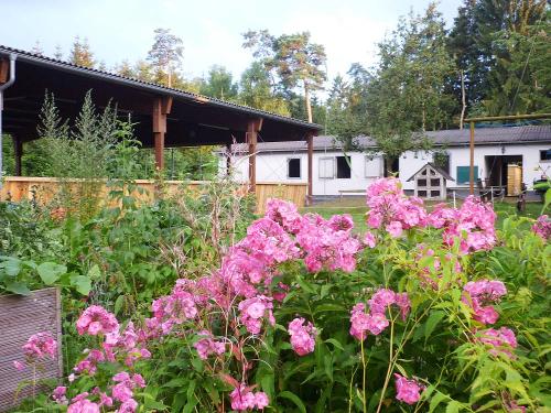 Innenhof mit Reithalle