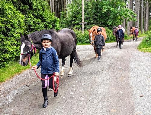 Pony Wanderung