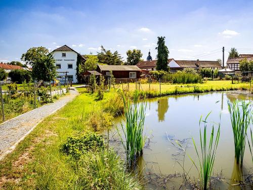 Teich auf dem Ferienhof Wolschendorf