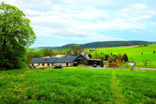 Seitenansicht vom Bergholz