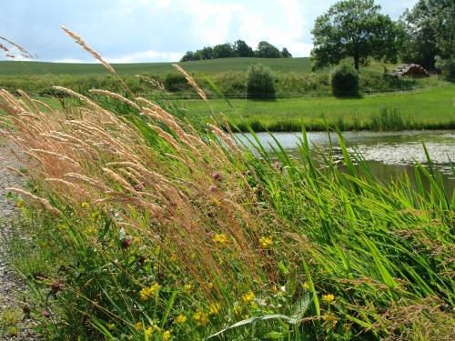 Unsere Landschaft