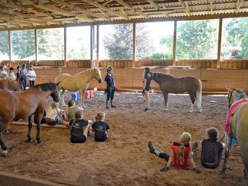 Reittheater in der Reithalle