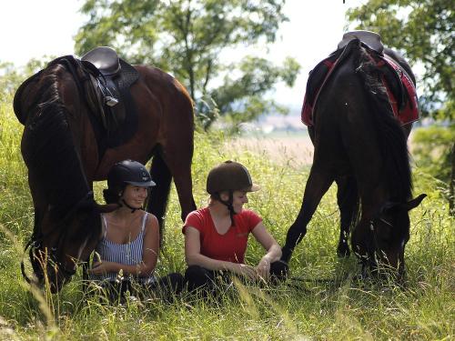 Rast für Pferd und Reiter