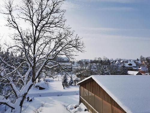 Garten mit Reithalle im Winter
