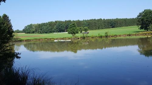 Teich
