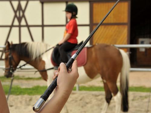 Reitunterricht für Anfänger und Fortgeschrittene
