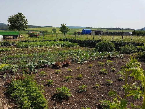 Bauerngarten