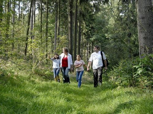 Wandern im Land der Tausend Te