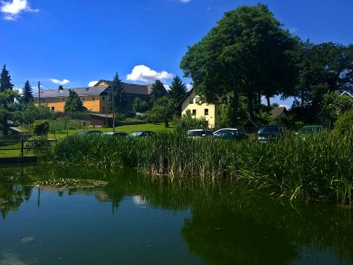 Dorfteich mit Blick zum Hof