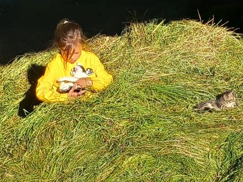 Geborgenheit im Gras Geborgenheit im Gras