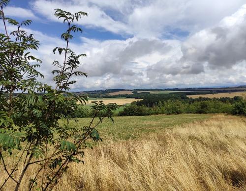 Natur pur Natur pur