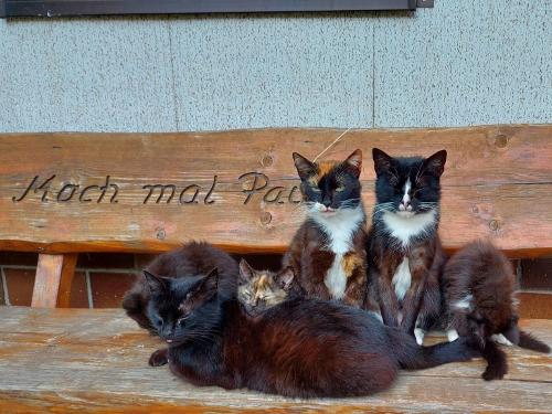 Mach mal Pause Mach mal Pause