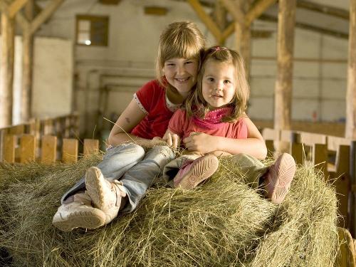 Kinder im Stall