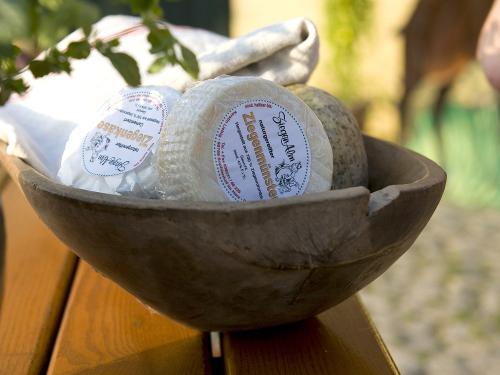Hausgemachter Ziegenkäse
