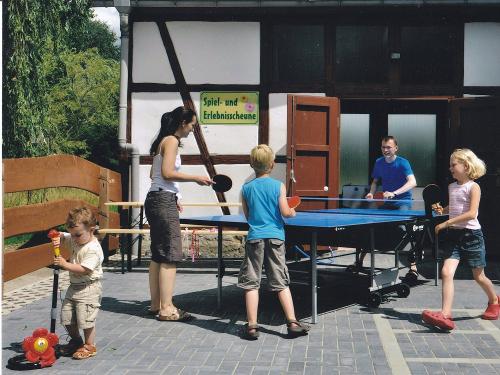 Tischtennis mit der Familie spielen