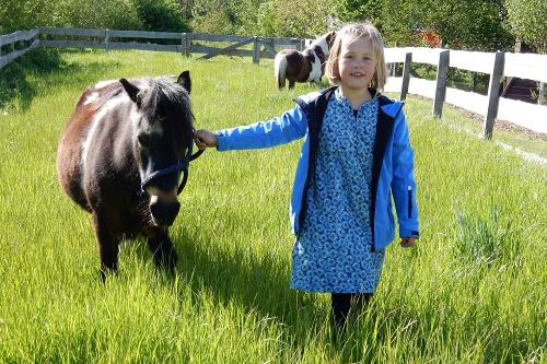 Geführtes Ponyreiten für Kinder