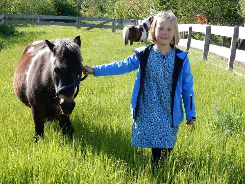 Geführtes Ponyreiten für Kinder