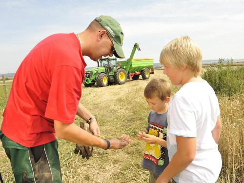 Bei der Getreideernte dabei sein