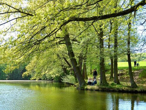 Wanderer an der Bernshäuser Kutte