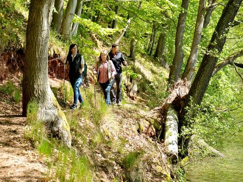 Wandern um die Bernshäuser Kutte