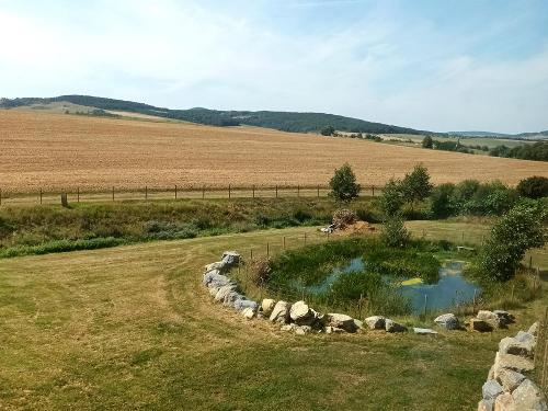 Fewo Kuh Bella - Ausblick