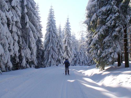 Skilanglauf im Winter