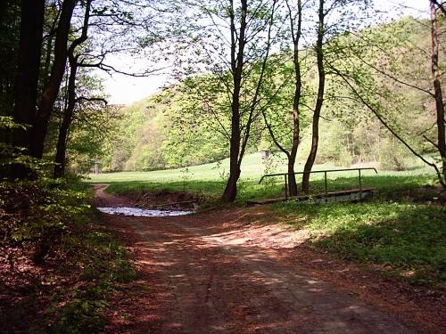 Wandern im Harz