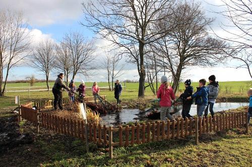 Abfischen des Teiches im Herbst