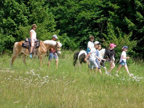 Wanderung mit Pferden