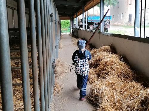 Mithilfe bei der Stallarbeit