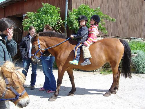 Reiten