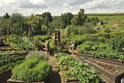Garten mit Hochbeeten