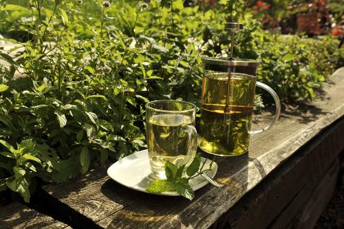 Frischer Kräutertee